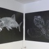 arts plastiques adultes