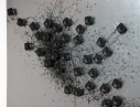 Exposition ''Starling Flocks'' de Yuna Amand