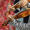 Ateliers de violons du PHAKT - Centre Culturel Colombier, RENENS (35)