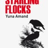 Starling Flocks-visuel web