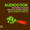 deficients-visuels-projet-audiocook-phakt-2016