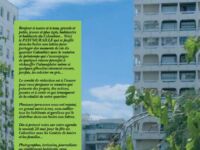 Le Pass'Muraille n°10, avril 2016