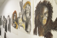 Vue exposition "Pas si bête ! Une épopée animalière", exposition des adhérents arts visuels du PHAKT - 2019